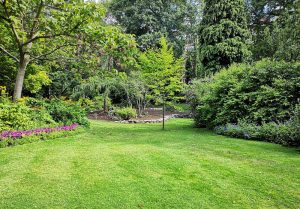 Optimiser l'expérience du jardin à Knoersheim